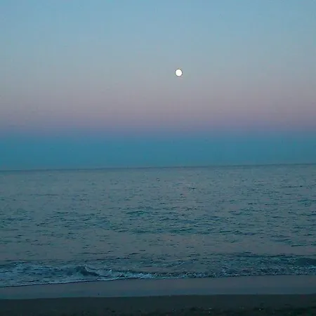 Daire Aloha Paraiso *