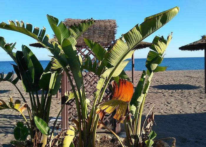 Aloha Paraiso * Torremolinos