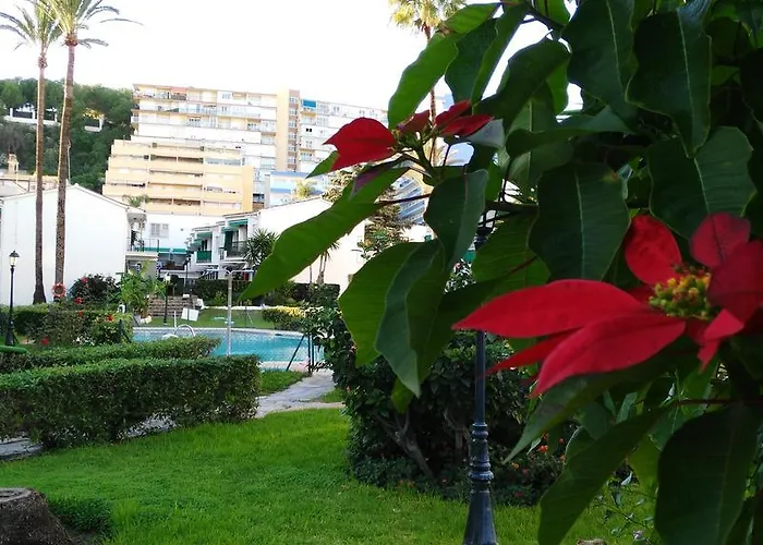 Aloha Paraiso * Torremolinos
