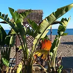 Aloha Paraiso * Τορρεμολίνος