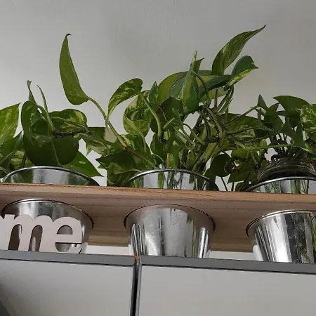 Apartamento Aloha Paraíso