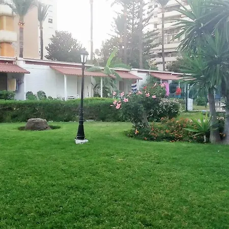 Aloha Paraiso *